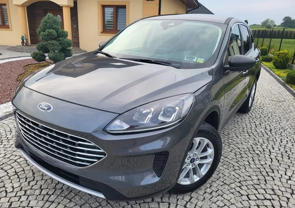 Ford Kuga cena 81500 przebieg: 38000, rok produkcji 2021 z Tarnów małe 529